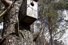 20190320_113955