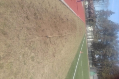 20190418_103246