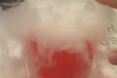 122069752_395591494776998_2011681369754076949_n