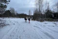 an35