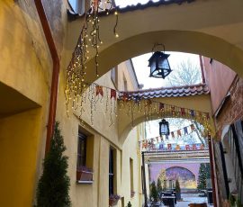 262322524_1144202243068299_4524938354753882877_n