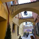 262322524_1144202243068299_4524938354753882877_n