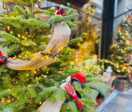 263407238_269605775048836_4704495036351308991_n