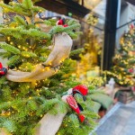 263407238_269605775048836_4704495036351308991_n