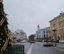 263522119_320656966366755_5886546614819237189_n