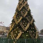 263624518_859812311382935_7378622194619635829_n