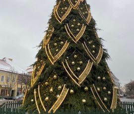 263624518_859812311382935_7378622194619635829_n