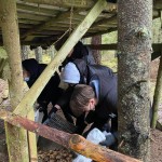 270742028_904768917068126_2324577932601382236_n