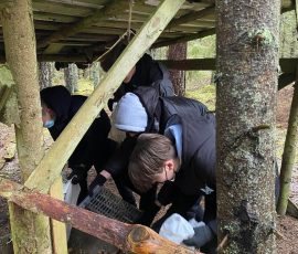 270742028_904768917068126_2324577932601382236_n